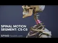Spinal Motion Segment C5-C6
