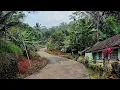 Download Lagu Hening damai‼️hidupun lebih bahagia inilah kampung tersembunyi di balik rimbunnya hutan