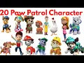 Paw Patrol 20 Characters in Hindi English to Hindi Names Easy Facts for Kids Fun Learning