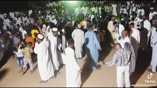 حجر العسل طارق حماد 