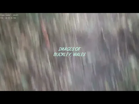 Clearing of the Bucks