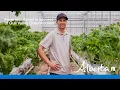 Fresh investment in success at Gull Valley Greenhouses