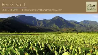 Ben G Scott Land in Texas
