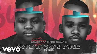 sumthing else what you are visualizer ft xoli m