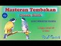 Download Lagu Masteran Tembakan Burung Cucak Bersisik | #kicaumania #kicau  #burungkicau