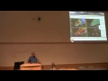 Operational Severe Weather System