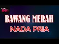 Download Lagu BAWANG MERAH - CACA HANDIKA | Karaoke Dangdut Tanpa Vokal Nada Pria | ROOM 001 MP3