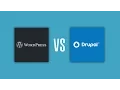 Drupal Vs WordPress - Which Is The Best CMS