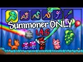 Can I Beat Terraria 1 4 5 Summoner ONLY - MASTER MODE
