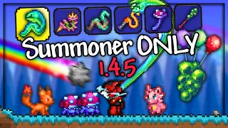 Can I Beat Terraria 1 4 5 Summoner ONLY - MASTER MODE