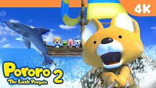 Shark Attack! | Pororo Season2 [4K] | Learn Good Habits | Pororo Episode