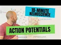 10-Minute Neuroscience Action Potentials