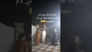 عركة البدراج وبني لام شوف بني لام شلون محصورين بالبيت 