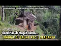 Lagu NEKAD, SENDIRIAN TINGGAL DI SAUNG KECIL DI TENGAH HUTAN TANPA LISTRIK SELAMA PULUHAN TAHUN...