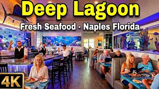 Naples Florida Deep Lagoon s Freshest Seafood Happy Hour Deals 4K