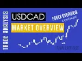 HOW TO USE A HARMONIC SCANNER USDCAD TIMEFRAME ANALYSIS WITH FIBONACCI