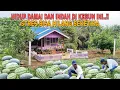 Download Lagu HIDUP DAMAI \u0026 INDAH DI KEBUN INI..!! STRES BISA HILANG SEKETIKA
