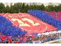 Lagu FC Steaua Bucuresti - Titlul 22 Sezonul 2004-2005