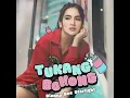 Lagu Dianna Dee Starlight - Tukang Bohong