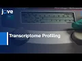 Transcriptome Profiling of Embryos using Microarray platform Protocol