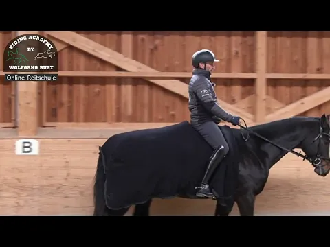 f126 z gelhilfe beim reiten bedeutung und einsatz von innen au enz gel h ufigste fehler pferde