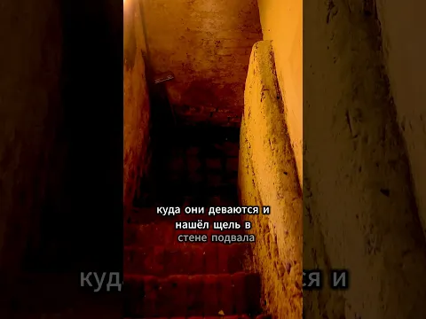У него в доме пропадали куры, разгадка оказалась невероятной