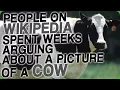 People on Wikipedia Spent Weeks Arguing About a Picture of a Cow