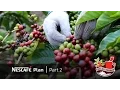 Nestle Indonesia - NESCAFÉ - #DibalikSecangkirKopi Part 2