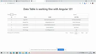Angular 12 Data Table Working Demo