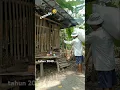 Download Lagu video lucu bikin ngakak | video lucu tiktok 2024
