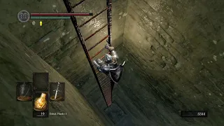 DARK SOULS REMASTERED - where to use basement key from undead burg