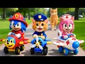 SONIC \u0026 AMY on an EPIC Adventure with Kittens | Funny Story | Sonic The Hedgehog 3 Animation