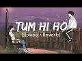Download Lagu TUM HI HO [Slowed + Reverb] | AASHIQUI 2 | SLOWED X REVERB #aashiqui2 #bollywoodlofi #trendingvideo