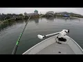 Chinook Salmon caught on the Umpqua River 8-2-2025