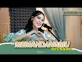 Download Lagu MEMANDANGMU - NOVIA ROZMA // VERSI BAJIDOR