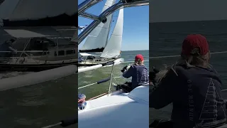 Texas Sailing on Galveston Bay #shorts #racing