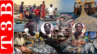 Pénurie de poisson à Soumbédioune : les prix grimpent, les consommateurs s’inquiètent