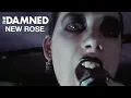 Download Lagu The Damned - New Rose (Official HD video)