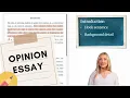 How to Write an Opinion Essay Steps Examples