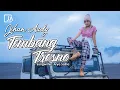 Lagu Jihan Audy - Tembang Tresno | DJ Viral | Aku pamit lilakno lungaku
