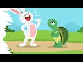 The Hare and the Tortiose The Hare Should Have Won Here s Why