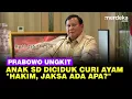Lagu Prabowo Ungkit Anak SD Curi Ayam Sampai Ditangkap Singgung Penegak Hukum \