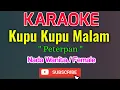 Download Lagu Kupu Kupu Malam Karaoke Nada Wanita / Female - Peterpan