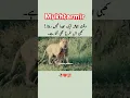 Download Lagu Waqt Hamesha Ek Jaisa Nahin rahata, Kabhi Is Tarah bhi karta hai. . #waqt #burawaqt #waqtwaqtk