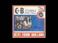 Lagu Cuby + Blizzards - Stumble and fall (Nederbeat) | (Grolloo) 1966