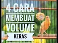 4 CARA AGAR VOLUME KENARI MENJADI KERAS