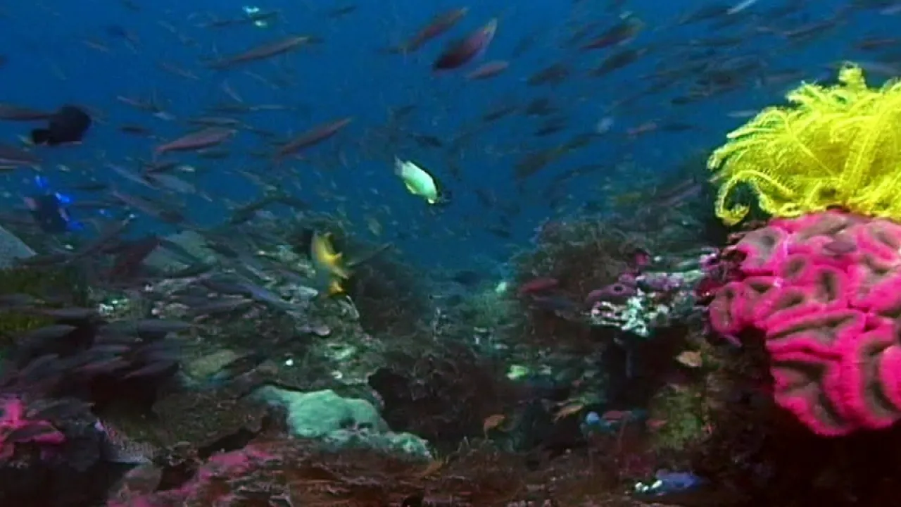 Nuclear Science and Ocean Acidification