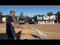 Download Lagu Dag 9 - Deel 1 - Wilde dieren voor onze deur