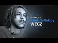 Wegz - B3oda Ya Belady (REMIX) | ويجز بعودة يا بلادى | (من فيلم كباتن الزعتري)