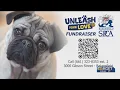 Bakersfield SPCA to celebrate 75th year with fundraiser on Friday